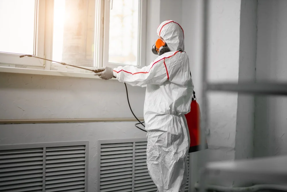 Professional mold remediation services in Seymour, CT